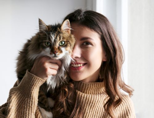 7 Preventive Care Tips to Add Years to Your Pet’s Life