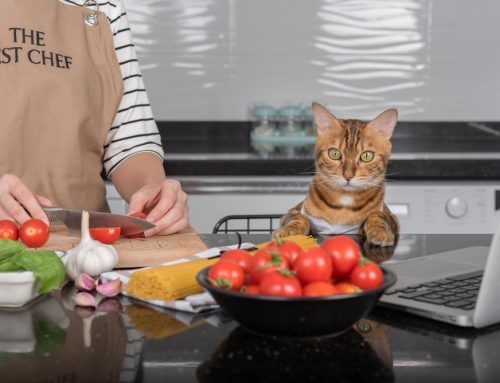 20 Common Pet Toxins